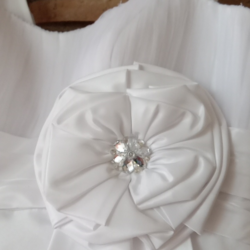 David's Bridal Galina wedding gown size 4 - Picture 6 of 6